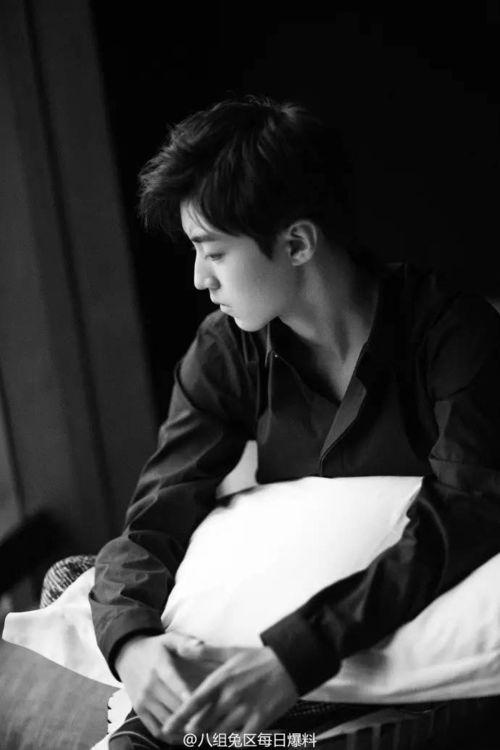 郑爽王俊凯最新爆料,独家爆料揭秘幕后真相！