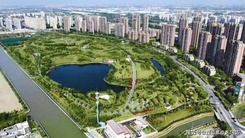 新湖总场爆料最新消息,最新动态揭秘