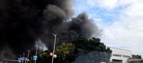 广东梅州爆料事件最新进展,真相逐步浮出水面